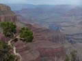 Grand Canyon - View from Hermit's Rest